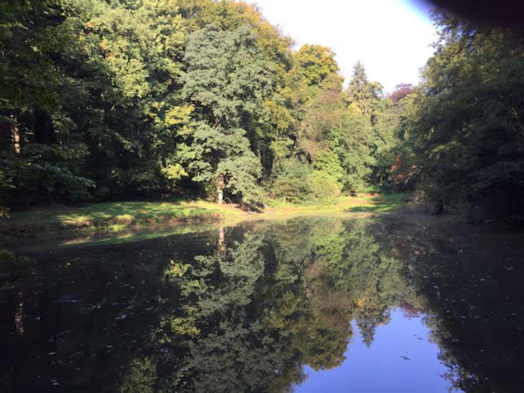 Gite Incontournable Avec Sauna Et Piscine Dans Un Petit Paradis Du Barbant Wallon Villers-la-Ville Kültér fotó
